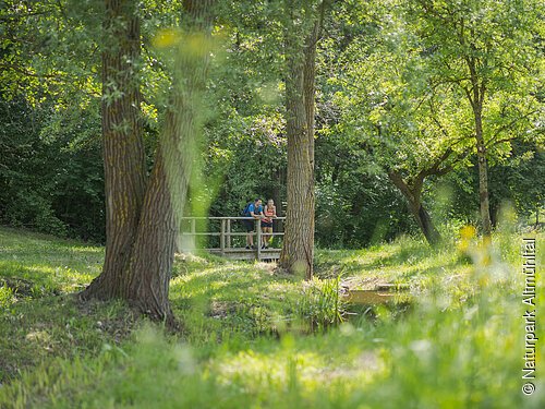 Blumengarten am Wünschelrutenweg bei Beilngries