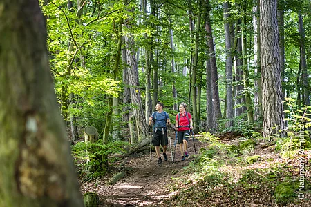 Schlaufe 16 bei Kipfenberg