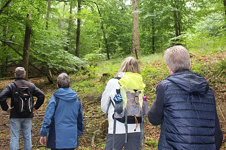 Roter-Rucksack-Entdeckertour: Verändert das Klima den Wald