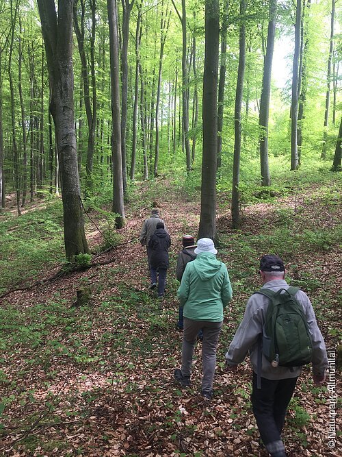Wandern am Welterbe Limes bei Zandt (Gemeinde Denkendorf)