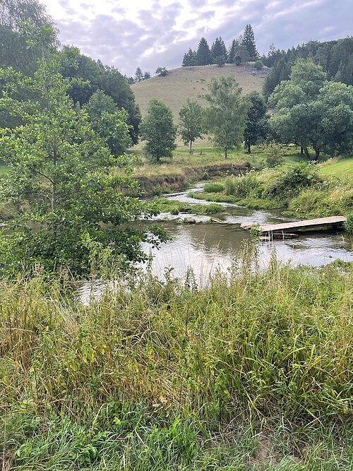Idyllischer Blick auf die Weiße Laber und dahinter eine Wacholderheide in Richtung Breitenbrunn