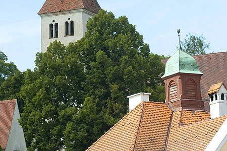 Das Foto zeigt die Basilika St. Martin.