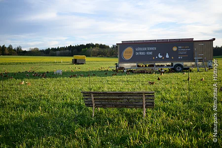 Auf einer grünen Wiese sieht man eine Holzbank von hinten. Vor der Bank befindet sich eine Wohnwagen mit Buxlhof-Werbung, der als Hühnerstall für die davor laufenden Hühner dient. Im Hintergrund sieht man den Ansatz eines Waldes mit blauem Himmel, durchzogen mit weißen Wolken.