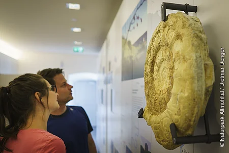 Zwei Personen betrachten ein großes Fossil an einer Museumswand.