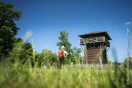 Wanderer mit rotem Rucksack steht auf Wiese vor hölzernem Aussichtsturm bei blauem Himmel