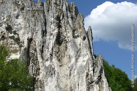 Felsformation mit steiler weiß-grauer Oberfläche, davor Wiese, Bäume und Verkehrsschilder bei blauem Himmel.