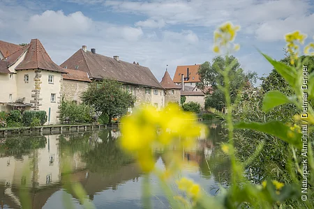 Historische Häuser mit roten Dächern am Flussufer, im Vordergrund unscharfe gelbe Blumen und grüne Pflanzen.