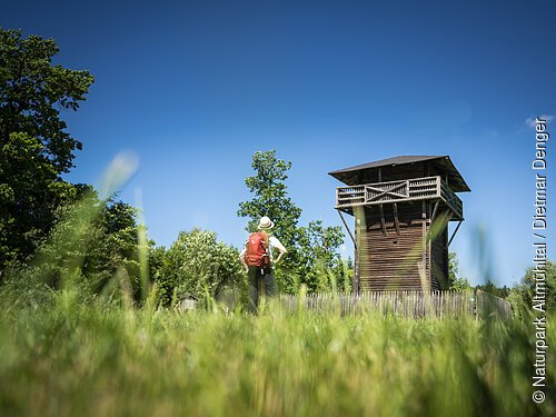 Limes-Wanderweg (Burgsalach) Wanderer mit rotem Rucksack steht auf Wiese vor hölzernem Aussichtsturm bei blauem Himmel