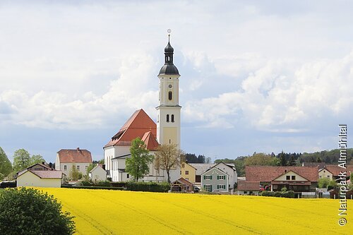 Dorf mit Kirche, Häusern und gelbem Rapsfeld unter bewölktem Himmel.