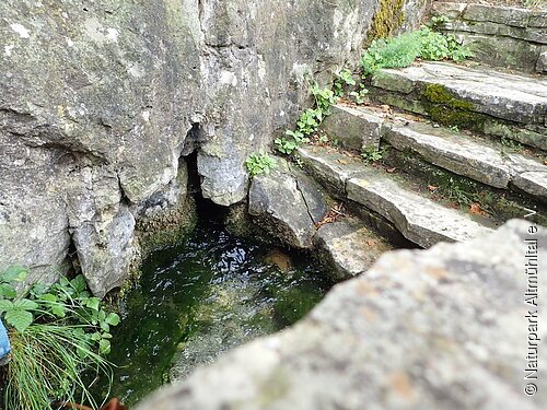 Almosmühlquelle Almosmühlquelle