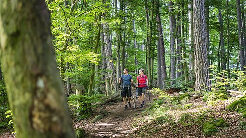 Kipfenberg-Shooting Juli 2020 Wald am Kressensteig