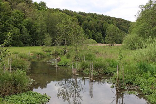 Schambach am Lohgrund
