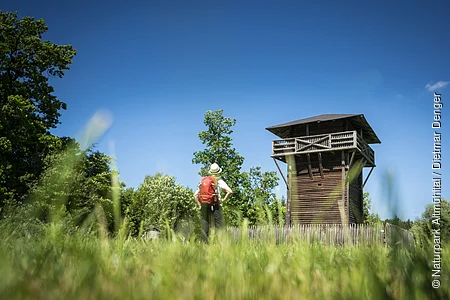 Wanderer mit rotem Rucksack steht auf Wiese vor hölzernem Aussichtsturm bei blauem Himmel