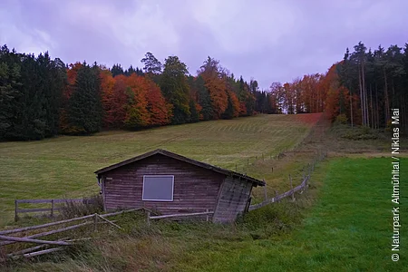 Alte Holzhütte auf einer Wiese mit herbstlich gefärbtem Wald im Hintergrund unter bewölktem Himmel.