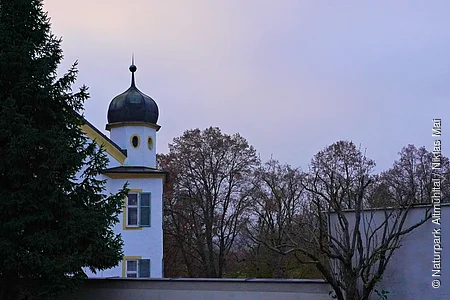 Weißes Gebäude mit Zwiebelturm, davor große Tanne und kahle Bäume, blauer Himmel im Hintergrund.