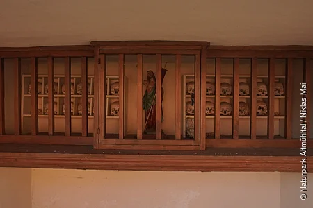 Holzregal mit mehreren Totenschädeln und einer Heiligenfigur dahinter hinter Holzgittern in einer Wandnische.