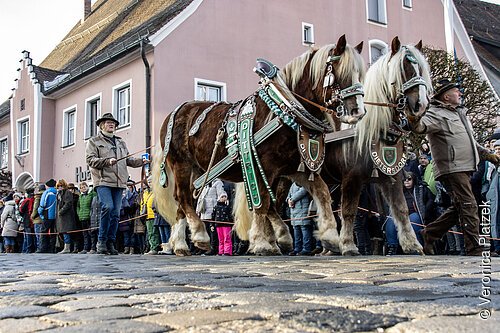 Rossmarkt in Berching - Pferdeauftrieb Rossmarkt in Berching - Pferdeauftrieb