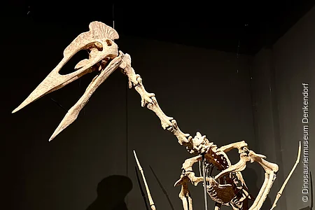 Skelett eines großen Flugsauriers mit langem Schnabel und Eiern auf schwarzem Podest vor dunklem Hintergrund.