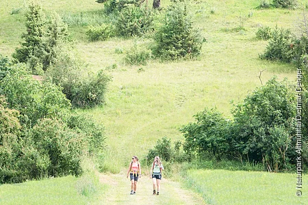 Zwei Wanderer gehen auf einem Weg durch eine grüne Wiesenlandschaft mit Wacholdersträuchern.