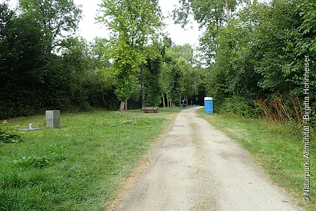 Waldweg mit Grasflächen, Bäumen, einer Bank und einem blauen mobilen Toilettenhäuschen am rechten Wegesrand.
