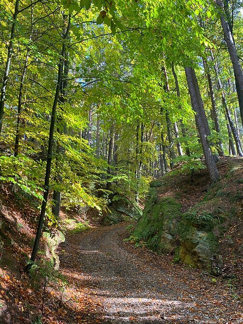 Wanderweg Röschberg